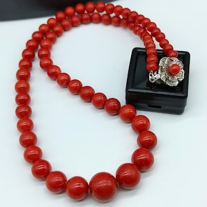 Può includere: Una collana composta da una fila di perle rosse rotonde e graduate. La collana è fissata con una chiusura in metallo color argento a forma di fiore con una piccola perla rossa al centro. Le perle aumentano di dimensioni verso il centro.
