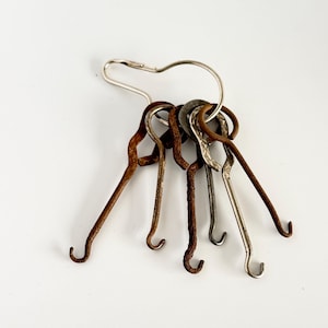 May include: A collection of five metal hooks suspended from a single silver-toned wire ring. The hooks vary in appearance, with some featuring a dark, rusted brown finish and others displaying a smooth, metallic silver-toned surface.