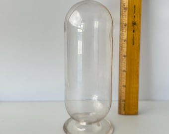 Tall Vintage Clear Glass Cloche | Large Bell Jar Dome on Pedestal Base | Glass Display Terrarium Cover