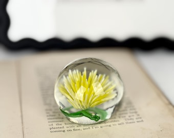 Vintage Yellow Chrysanthemum Glass Paperweight | 1970s 1980s Real Flower Encased Sphere