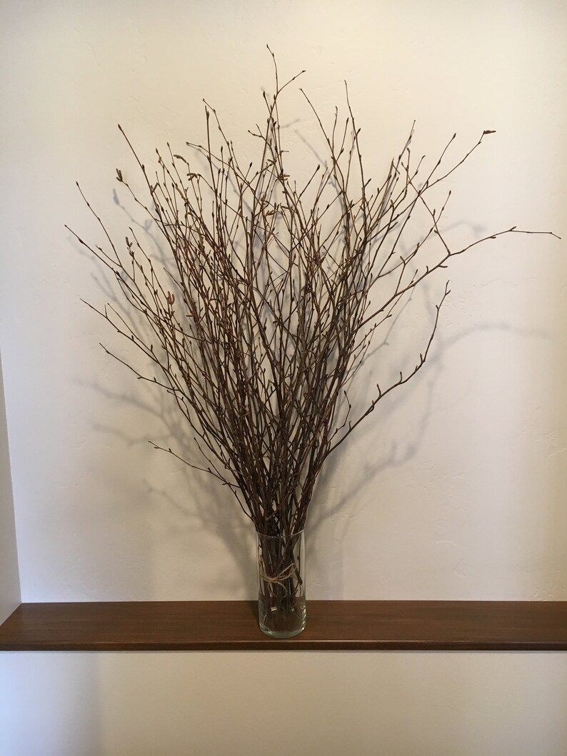 Budding Birch Tree 36 Tall Branches Floral Arrangement Etsy