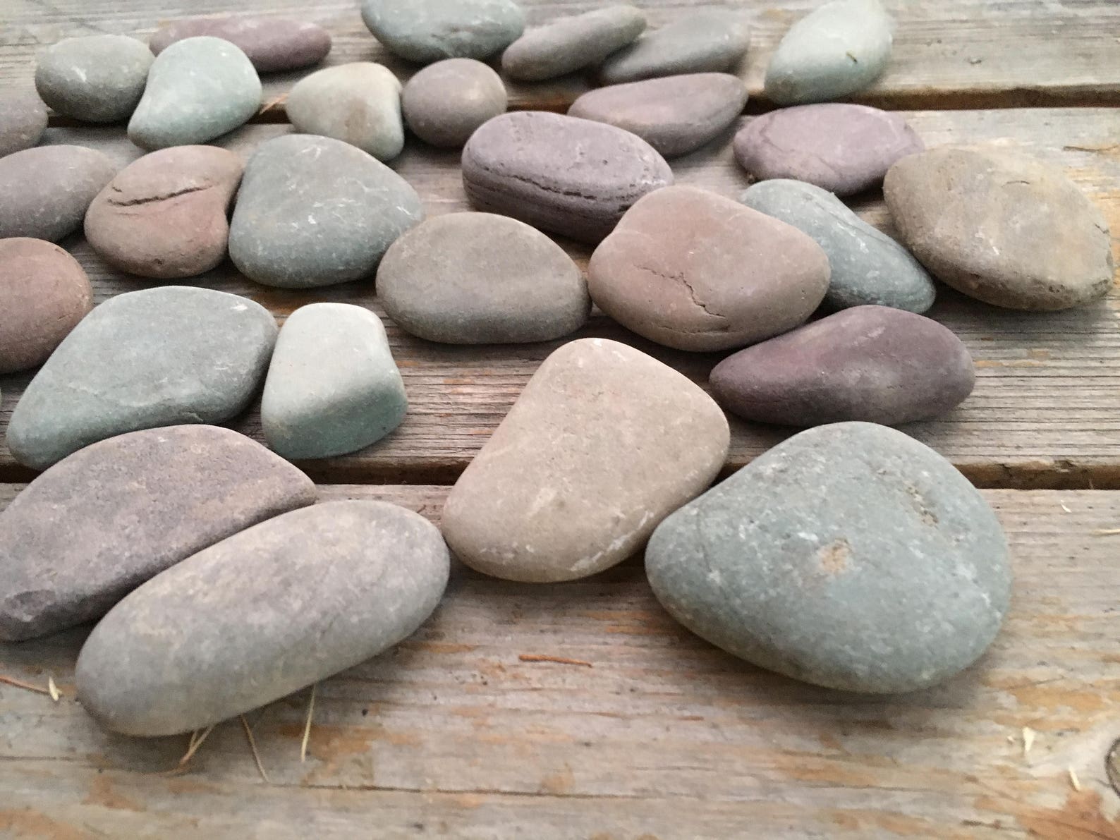 30 Natural Smooth Flat Montana River Rock 1.5 to Etsy