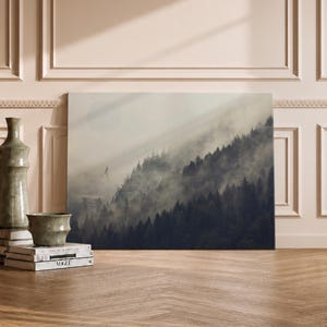 Star Wars Endor Movie/Film Canvas, Star Wars High Quality Framed Canvas Wall Art