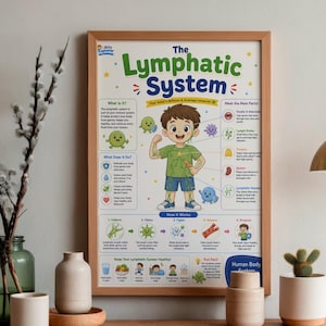 May include: A framed educational poster titled The Lymphatic System, featuring a central cartoon illustration of a child surrounded by diagrams, text boxes, and icons explaining the body's defense and drainage network, with a light wood frame.