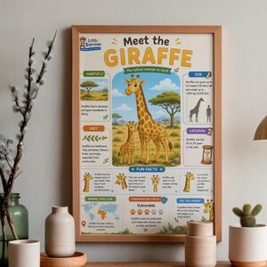 Może przedstawiać: Plakat edukacyjny zatytułowany Meet the GIRAFFE z centralną ilustracją dorosłej żyrafy i młodego osobnika na sawannie. Plakat zawiera sekcje dotyczące siedliska, diety, rozmiaru, długości życia, ciekawostek oraz statusu ochrony z tekstem.