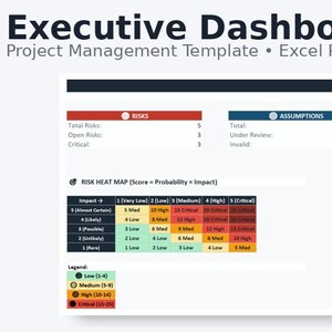RAID Log Template Excel | Risk Assumption Issue Dependency Tracker | Agile Project Management | Instant Download