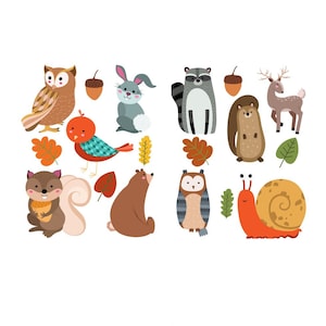 May include: A set of colorful woodland animal illustrations, including a squirrel, owl, raccoon, deer, snail, bird, and rabbit. The animals are surrounded by leaves and acorns.