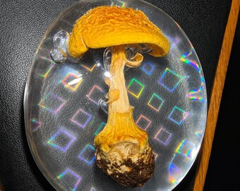 Amanita Mushroom Pendant | One-of-a-Kind Resin Nature Necklace | Handcrafted Woodland Jewelry