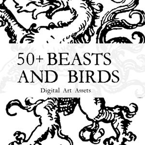 May include: A black and white graphic design featuring a stylised dragon at the top and two smaller mythical creatures at the bottom. The central text reads 50+ BEASTS AND BIRDS Digital Art Assets in a serif font against a white background.