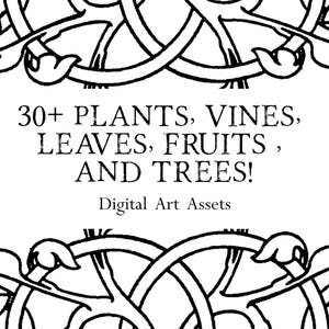 May include: A black and white graphic featuring intricate, repeating vine and leaf patterns at the top and bottom. The central text reads: 30+ PLANTS, VINES, LEAVES, FRUITS, AND TREES! Digital Art Assets, presented in a clear, bold, sans-serif font.