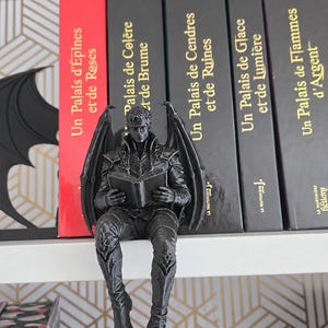 Pode incluir: Uma estatueta preta de um personagem alado sentado lendo um livro, posicionada em frente a uma fileira de livros de Sarah J. Maas, incluindo títulos como Un Palais d'Épines et de Roses, Un Palais de Colère et de Brume e Un Palais de Cendres et de Ruines.