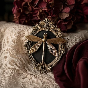 Cadre ex-voto libellule dorée gothique, cadre baroque style cabinet de curiosités entomologique, décoration naturaliste victorienne, encadrement insecte sous Cloche idée cadeau Halloween