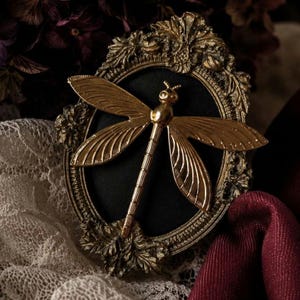 May include: A gold-toned dragonfly ornament centered on a black oval background, encased within an ornate, antique-style gold frame featuring intricate leaf and scroll detailing. The dragonfly has textured wings and a segmented body.