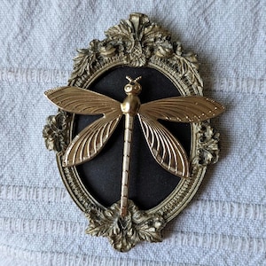 May include: A gold-toned metal dragonfly ornament mounted on a black oval background within an ornate, antique-style gold-colored frame. The dragonfly features detailed wings and a segmented body, centered perfectly inside the decorative border.