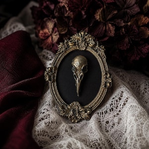 Set med gotiska ramar, Halloweendekoration, taxidermerad korpskalle som julgransprydnad, kuriosa, gotisk väggdekoration i metall