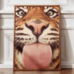 Op de afbeelding: Een rechthoekige ingelijste wandkunstprint met een close-up, hoge resolutie foto van een tijgergezicht. De tijger heeft oranje en zwarte vacht, wijd open ogen, een roze neus en een grote, getextureerde roze tong die uit de mond steekt.