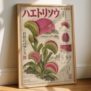 May include: A framed botanical print featuring a large Venus flytrap illustration with green and pink traps. The poster includes Japanese text, a dragonfly, and smaller diagrams showing the plant's anatomy and life cycle on a cream-colored background.