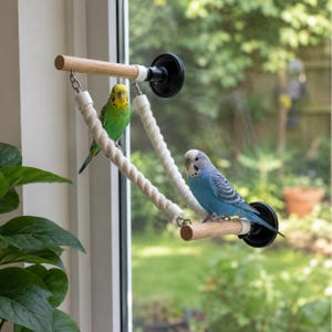 Op de afbeelding: Een vogelzitstok-systeem met twee horizontale houten stokken verbonden door een dik wit touw, bevestigd aan een raam met zwarte zuignappen. Een groene grasparkiet zit op de bovenste stok en een blauwe grasparkiet op de onderste stok.
