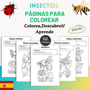 May include: A coloring book for children featuring insects with the text INSECTOS PÁGINAS PARA COLOREAR Colorea, Descubre & Aprende and 50 PÁGINAS. The pages show line art illustrations of a honey bee, stag beetle, bumblebee, and assassin bug.