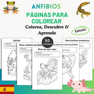 May include: A digital colouring book for children featuring amphibians with the text ANFIBIOS PÁGINAS PARA COLOREAR Colorea, Descubre & Aprende. The pages include line art illustrations of an axolotl, a red-eyed tree frog, and other amphibians.
