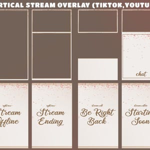 May include: A digital vertical stream overlay set for TikTok and YouTube featuring brown and cream color schemes with rose gold glitter accents. Includes various frames, a chat box, and status screens labeled Stream Offline, Ending, Be Right Back, and Starting Soon.