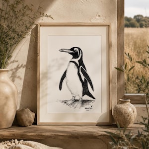 Pinguïn van Icaro
