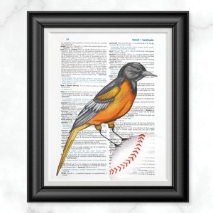 Könnte beinhalten: Eine handgezeichnete Illustration eines Baltimore-Orioles, der auf einem Baseball sitzt, mit einer Wörterbuchseite im Hintergrund. Der Vogel ist orange und schwarz mit einem langen, spitzen Schnabel. Die Wörterbuchseite zeigt die Definition des Wortes "Bastion".