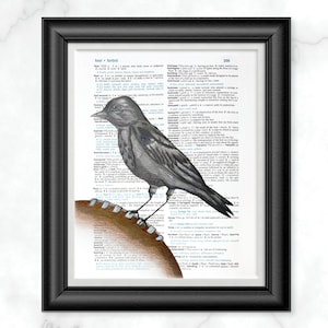 Baltimore Ravens Football Dictionary Art Print, Football Wall Decor, Raven Bird Print, Maryland Football Team Art, Gift For Him Under 20