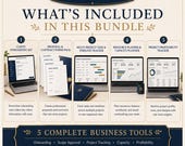 Agency Project Operations Bundle in Excel: Project Tracker - project tracker image 2