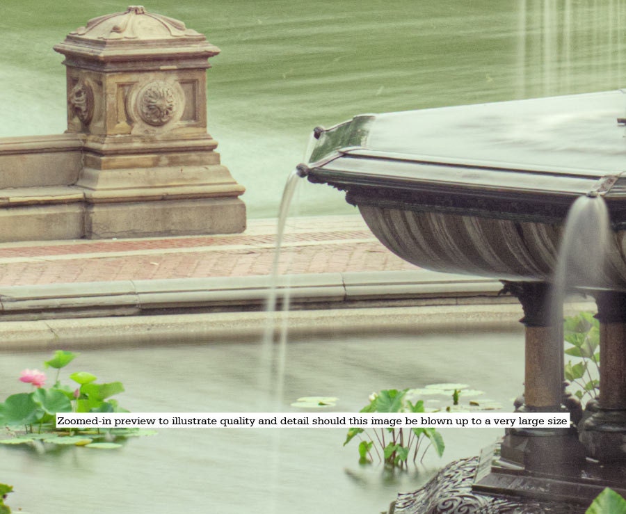 NYC Central Park Iconic Bethesda Fountain Photograph. 