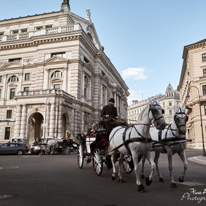 Vienna Street Horse Drawn Carriage - Original Photography - Austria