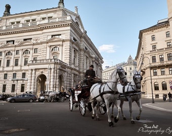 ウィーンの街の馬車 - オリジナル写真 - オーストリア
