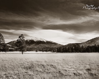 May include: A black and white photograph of a mountain range with a snow-capped peak. The mountains are in the background, and there are trees in the foreground. The sky is cloudy and the ground is covered in grass.