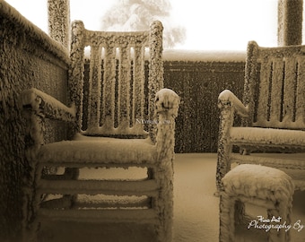 Bevroren stoelen, Great Smoky Mountains National Park - originele landschap fotograferen / Still Life