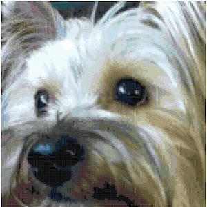 Yorkie Yorkshire Terrier Counted Cross Stitch Pattern Chart PDF Download by Stitching Addiction