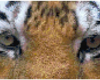 Tiger Eyes Counted Cross Stitch Pattern Chart PDF Download by Stitching Addiction
