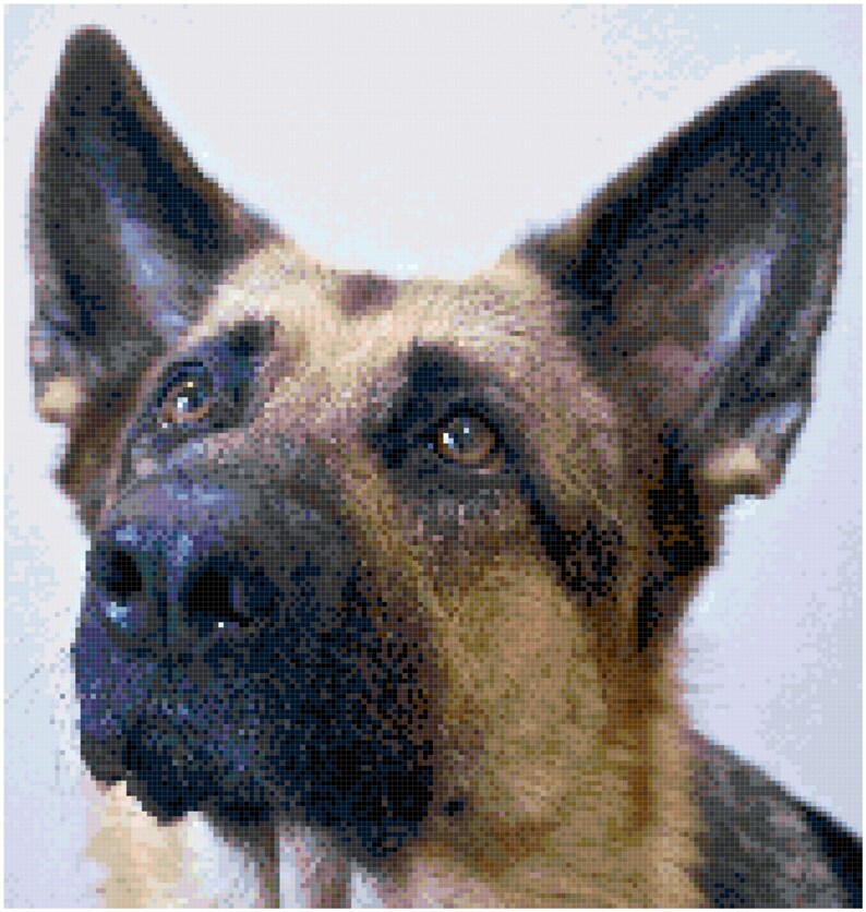 German Shepherd Counted Cross Stitch Pattern Chart PDF Download by