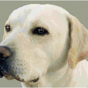 Yellow Lab Labrador Retreiver Counted Cross Stitch Pattern Chart PDF Download by Stitching Addiction