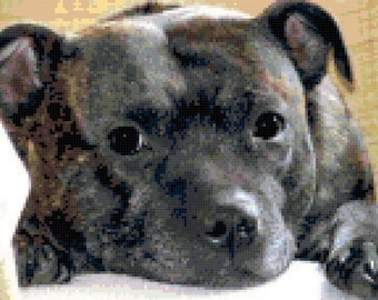 Staffordshire Butt Terrier Pit Bull Counted Cross Stitch Pattern Chart PDF Download by Stitching Addiction