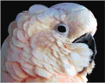 Cockatoo Counted Cross Stitch Pattern Chart PDF Download by Stitching Addiction
