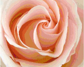 Peach Rose Counted Cross Stitch Pattern Chart PDF Download by Stitching Addiction