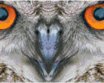 Orange Owl Eyes Counted Cross Stitch Pattern Chart PDF Download by Stitching Addiction
