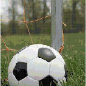 May include: A black and white football lying in green grass near a football goal.