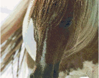 Horse Counted Cross Stitch Pattern Chart PDF Download by Stitching Addiction