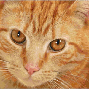 Orange Tabby Cat Counted Cross Stitch Pattern Chart PDF Download by Stitching Addiction
