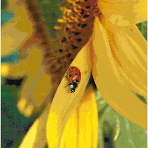 Ladybug on a Sunflower Counted Cross Stitch Pattern Chart PDF Download by Stitching Addiction