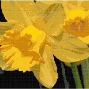 Daffodils Counted Cross Stitch Pattern Chart PDF Download by Stitching Addiction