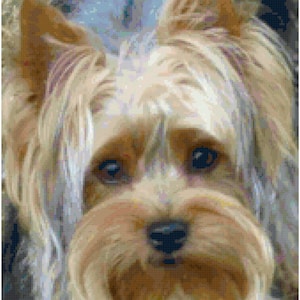 Yorkie Yorkshire Terrier Counted Cross Stitch Pattern Chart PDF Download by Stitching Addiction