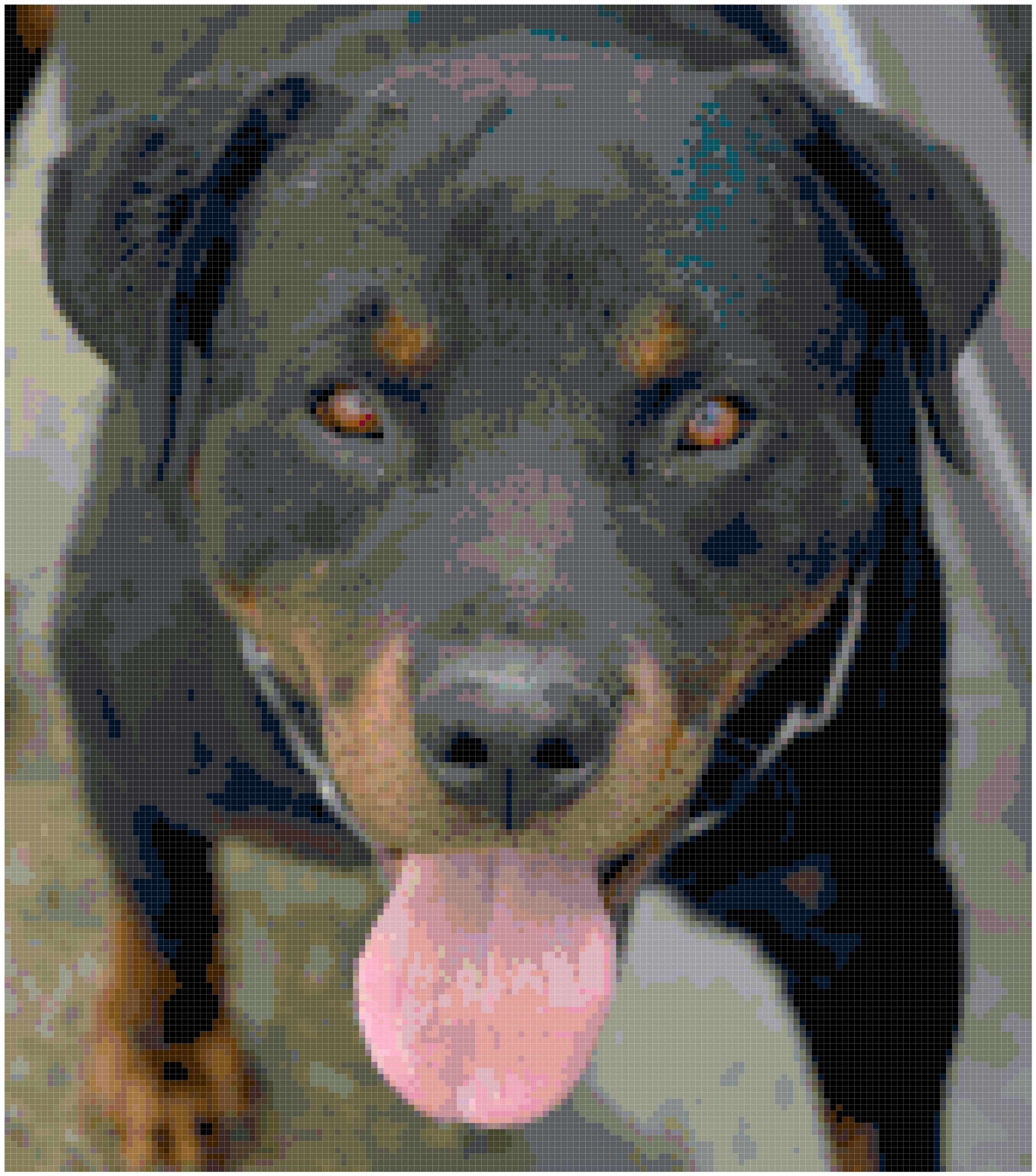 Rottweiler Dog Puppy Counted Cross Stitch Pattern Chart PDF Etsy