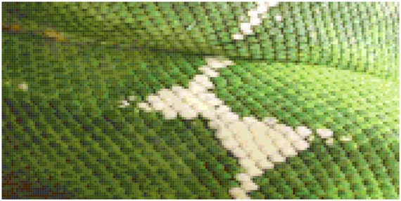 Snakeskin Animal Print Counted Cross Stitch Pattern Chart PDF Download by Stitching Addiction